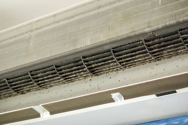 Best Air Duct Cleaning Near Me  in Butler, WI